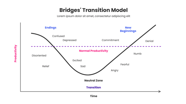 bridge transition essay