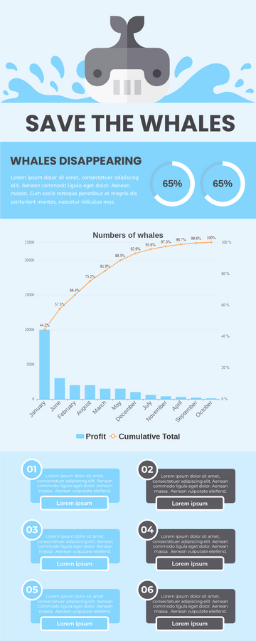 Save The Whales Infographic