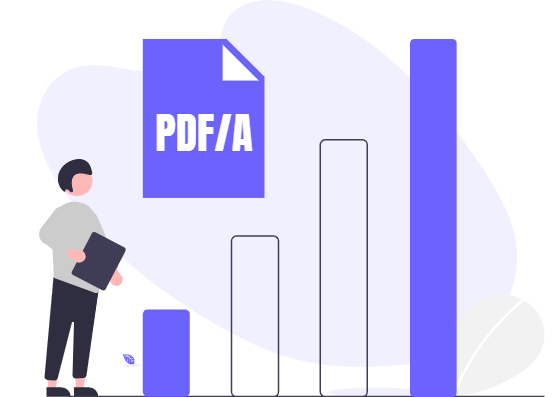 What are the different conformance levels of PDF/A?