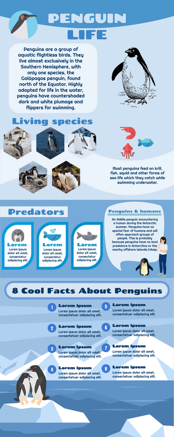 Life of Penguin Infographic