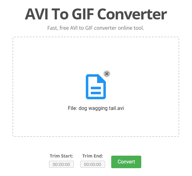 Video to GIF conversion with Easy GIF Animator, convert AVI to GIF file