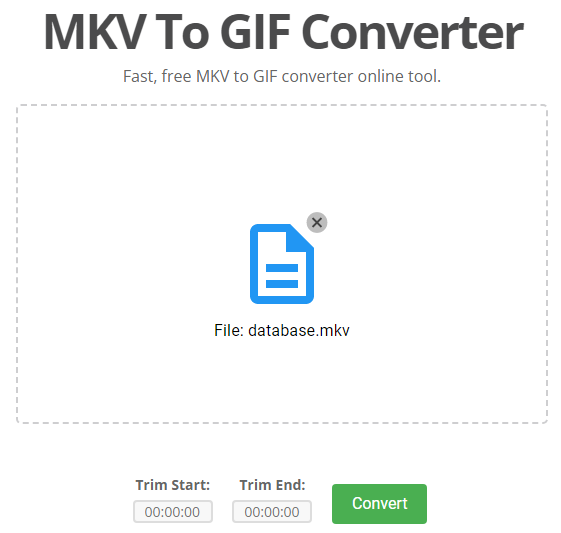 How to Convert MKV Video to Animated GIF for FREE 