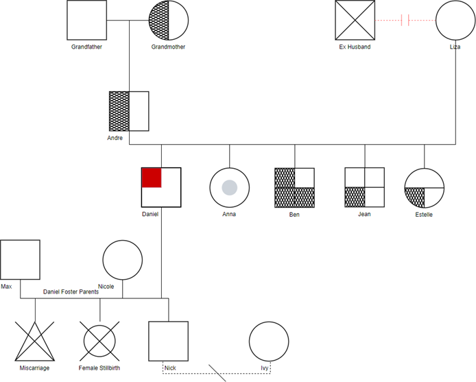 Genogram example