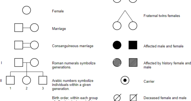Unraveling Genetic Mysteries: The Power of Pedigree Charts in Tracing Traits Through Generations