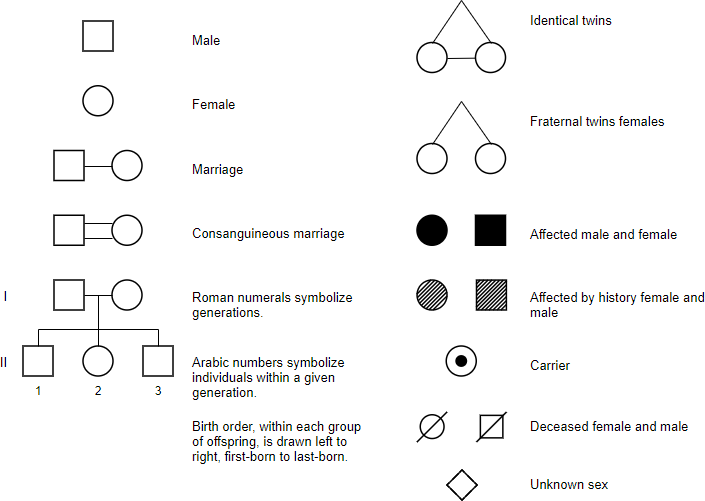 Pedigree chart symbols