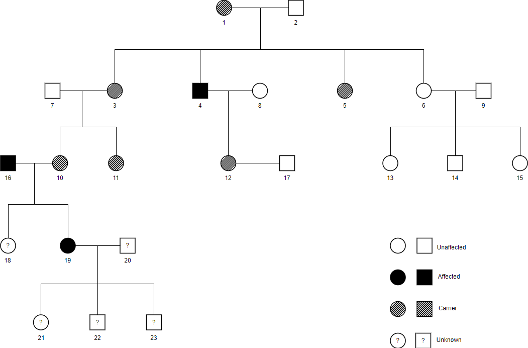 Pedigree chart template